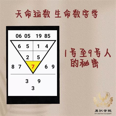 数字玄学配对|算出你的生命数字，看见命运的蓝图